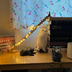 🎅🎄Rolig Jultomte Nedräkningskalender